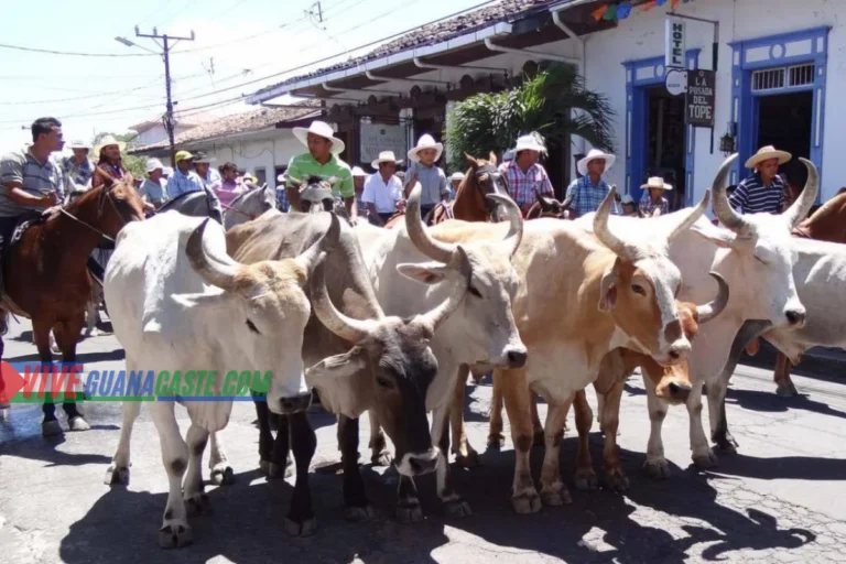 Fiestas Cívicas de Liberia.