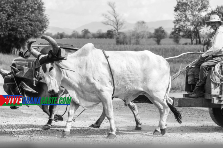 Tradiciones y cultura de Guanacaste