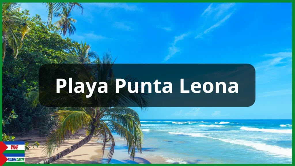 Playa Punta Leona