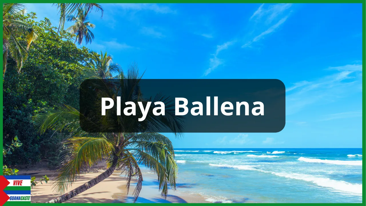 Playa Ballena