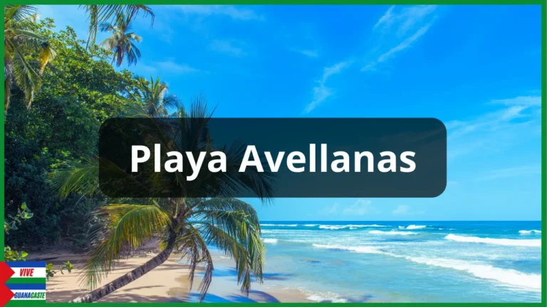 Playa Avellanas