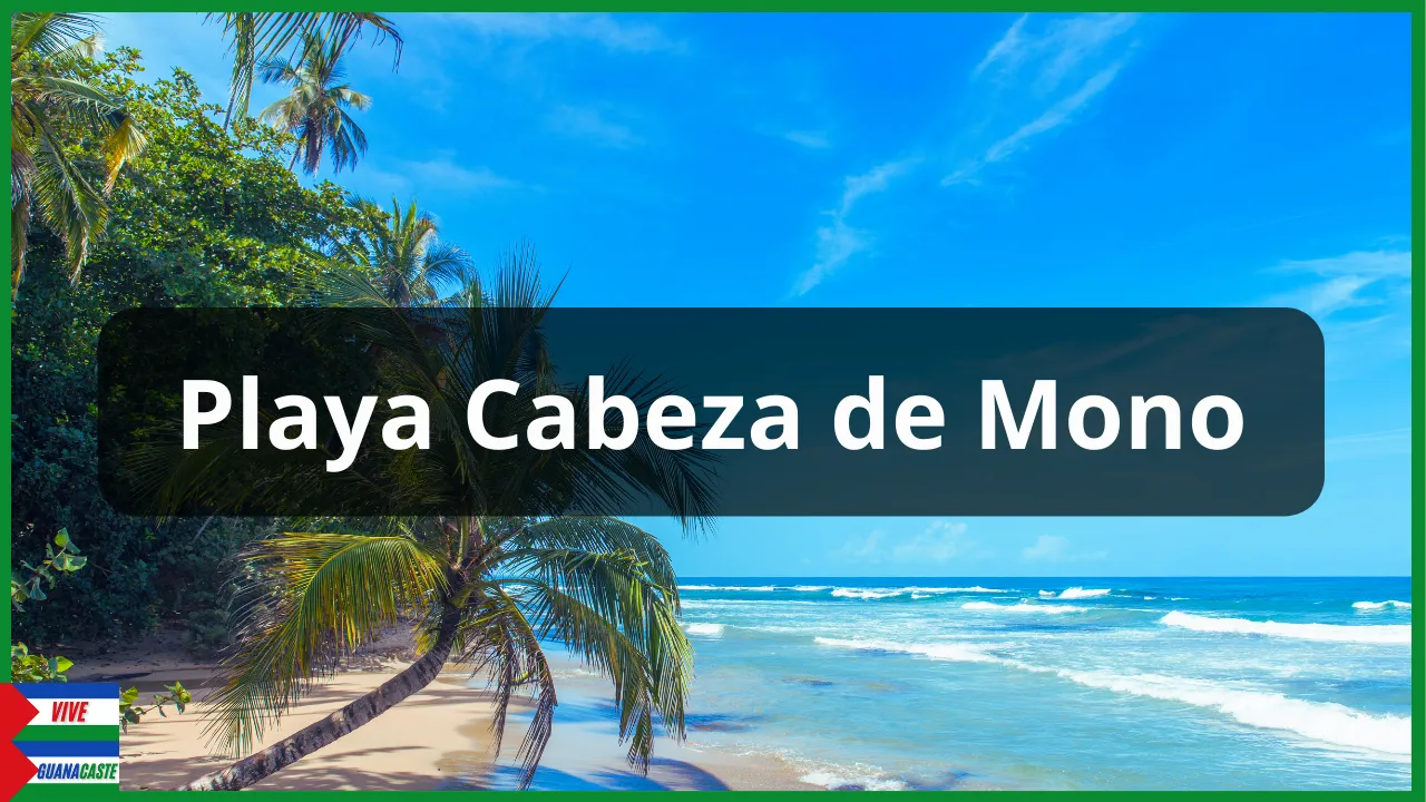 Playa Cabeza de Mono