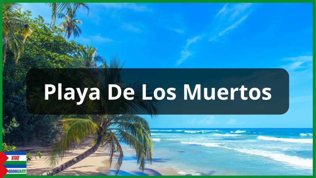 Playa De Los Muertos