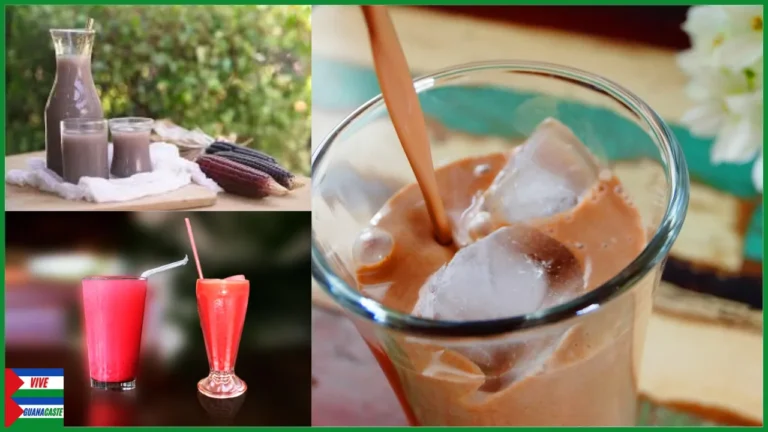 Bebidas Guanacastecas Tipicas