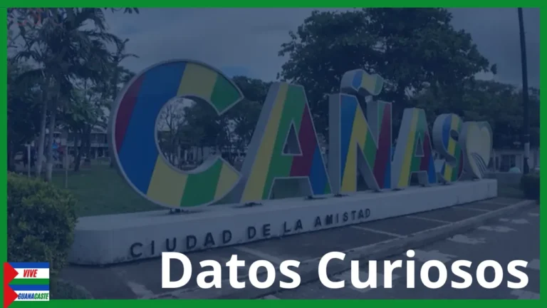 Datos Curiosos de Cañas