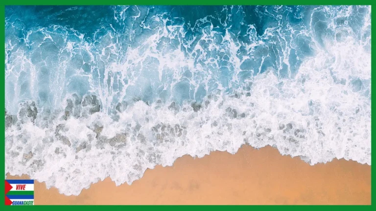 Las 5 Mejores Playas de Santa Cruz