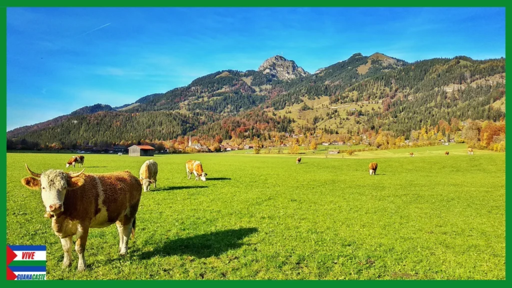 turismo rural sostenible Santa Cruz
