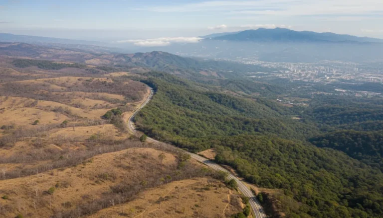 Cómo Llegar a Guanacaste desde San José 2026: Bus, Avión, Carro y Shuttle